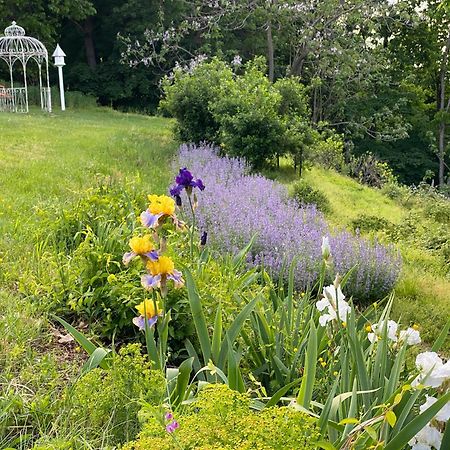 La Soledad Lavender Farm And Guesthouse Harpers Ferry Exterior photo