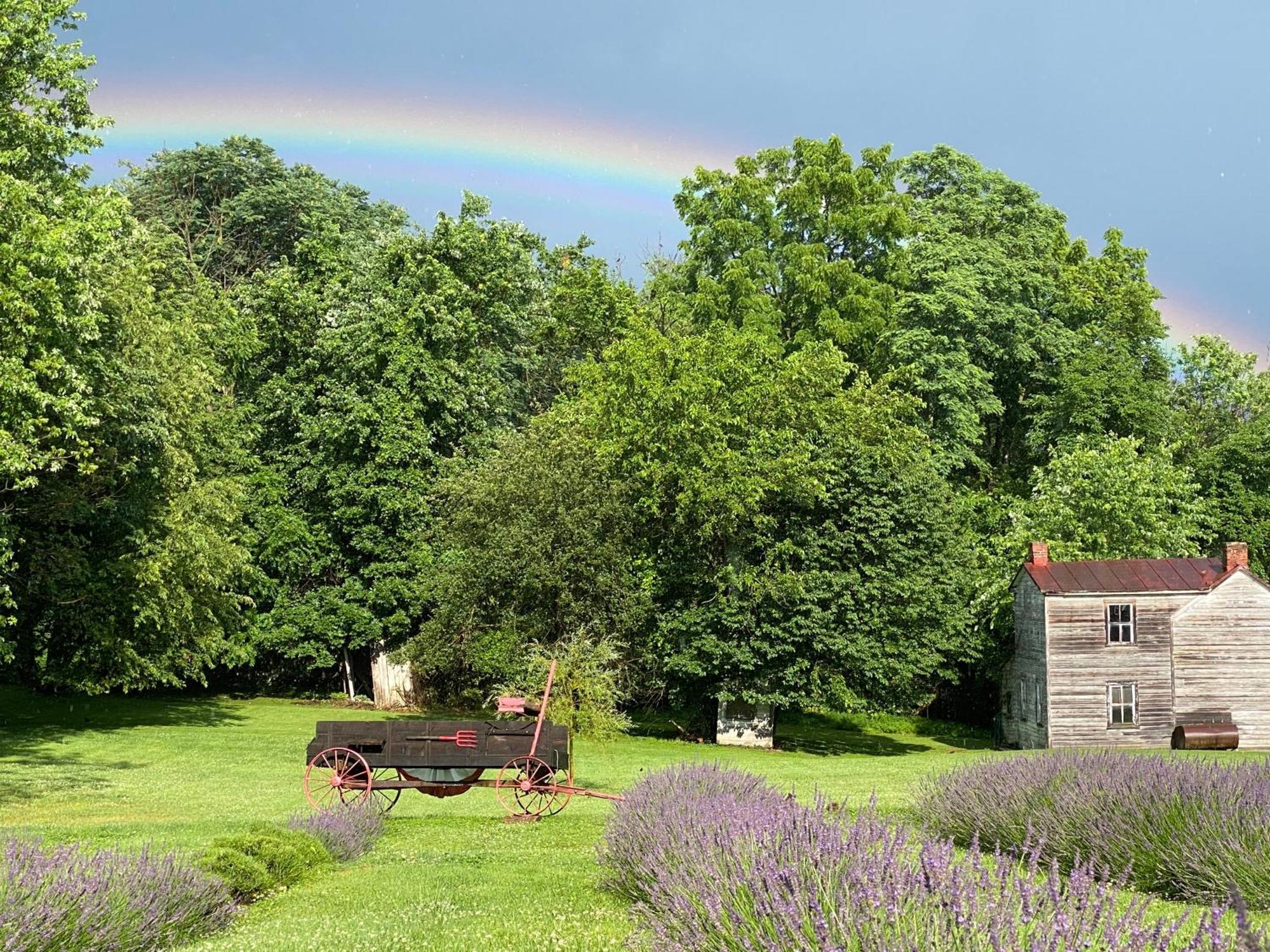 La Soledad Lavender Farm And Guesthouse Harpers Ferry Exterior photo